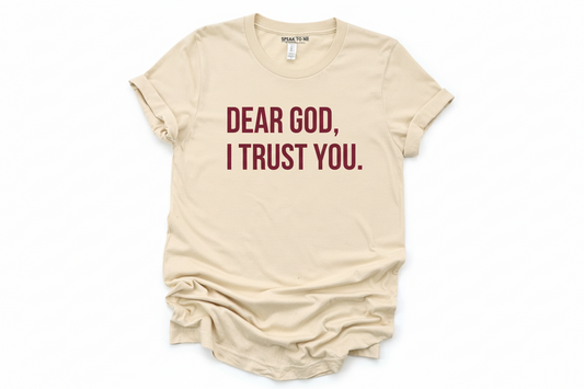 Dear God, I Trust You T-shirt